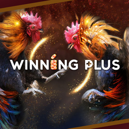 winning plus online casino